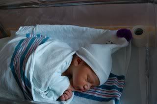 Hugo first! Hugo first!