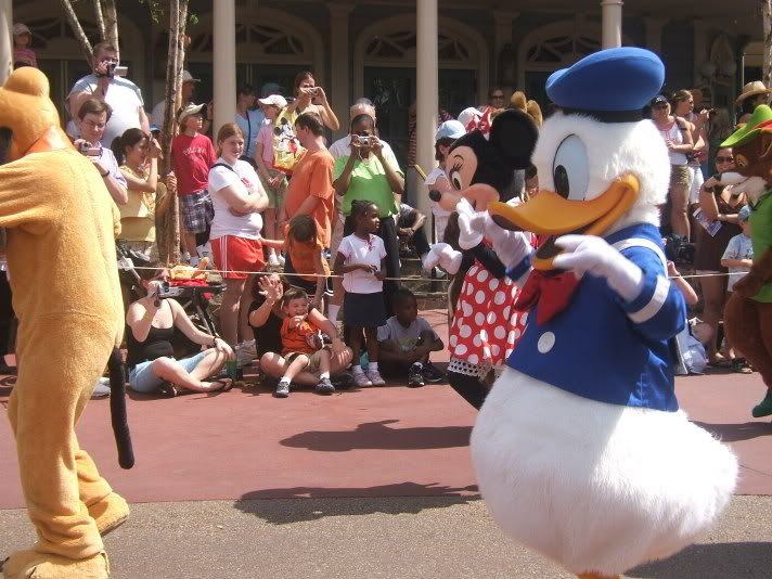 Donald Duck Pictures, Images and Photos