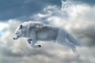 Sky Wolf Pictures, Images and Photos