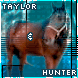 Taylor-Admin Avatar