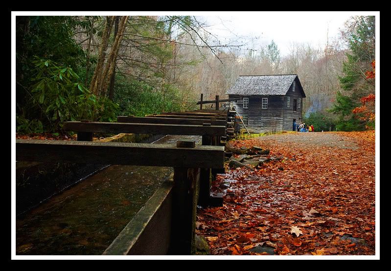 IMAGE: http://i71.photobucket.com/albums/i124/Angelmommie2005/3105_b_ab.jpg