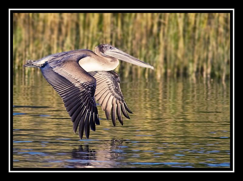 IMAGE: http://i71.photobucket.com/albums/i124/Angelmommie2005/b_a_04.jpg