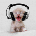 Kitten headphones