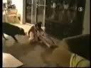 Video Box