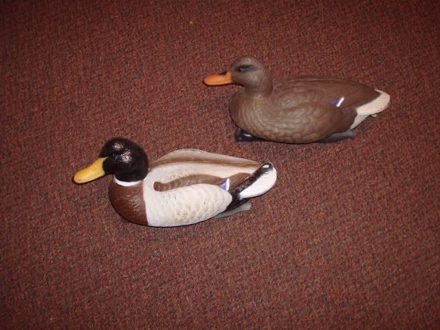 Painting Duck Decoy--Help--Picture | Duck Hunting Forum