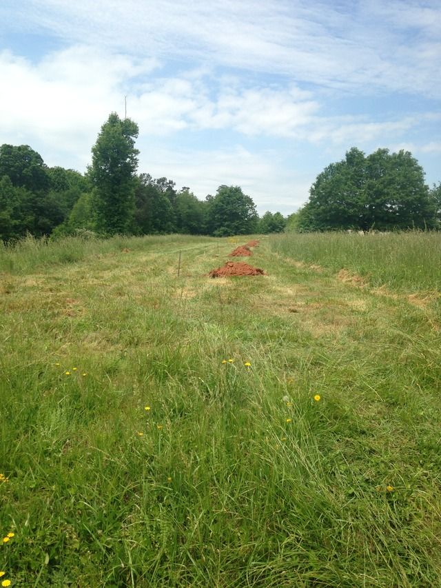 Digging in hard clay--tips? - Homesteading Questions