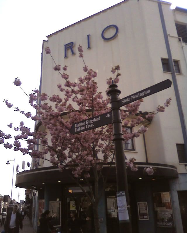 RIO, Dalston, London