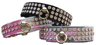 Pet Collars with Bling