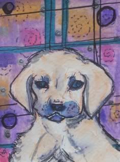 animal, dog, art card, still life, purples, swirls
