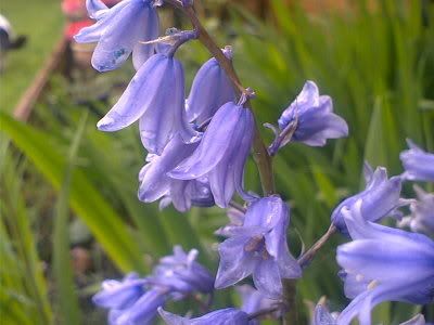 IMAGE: http://i71.photobucket.com/albums/i130/UJCCPhotos/Phone%20Pics/Image257.jpg