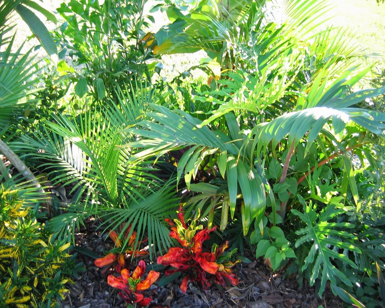 1280_1024_photobucket1.jpg