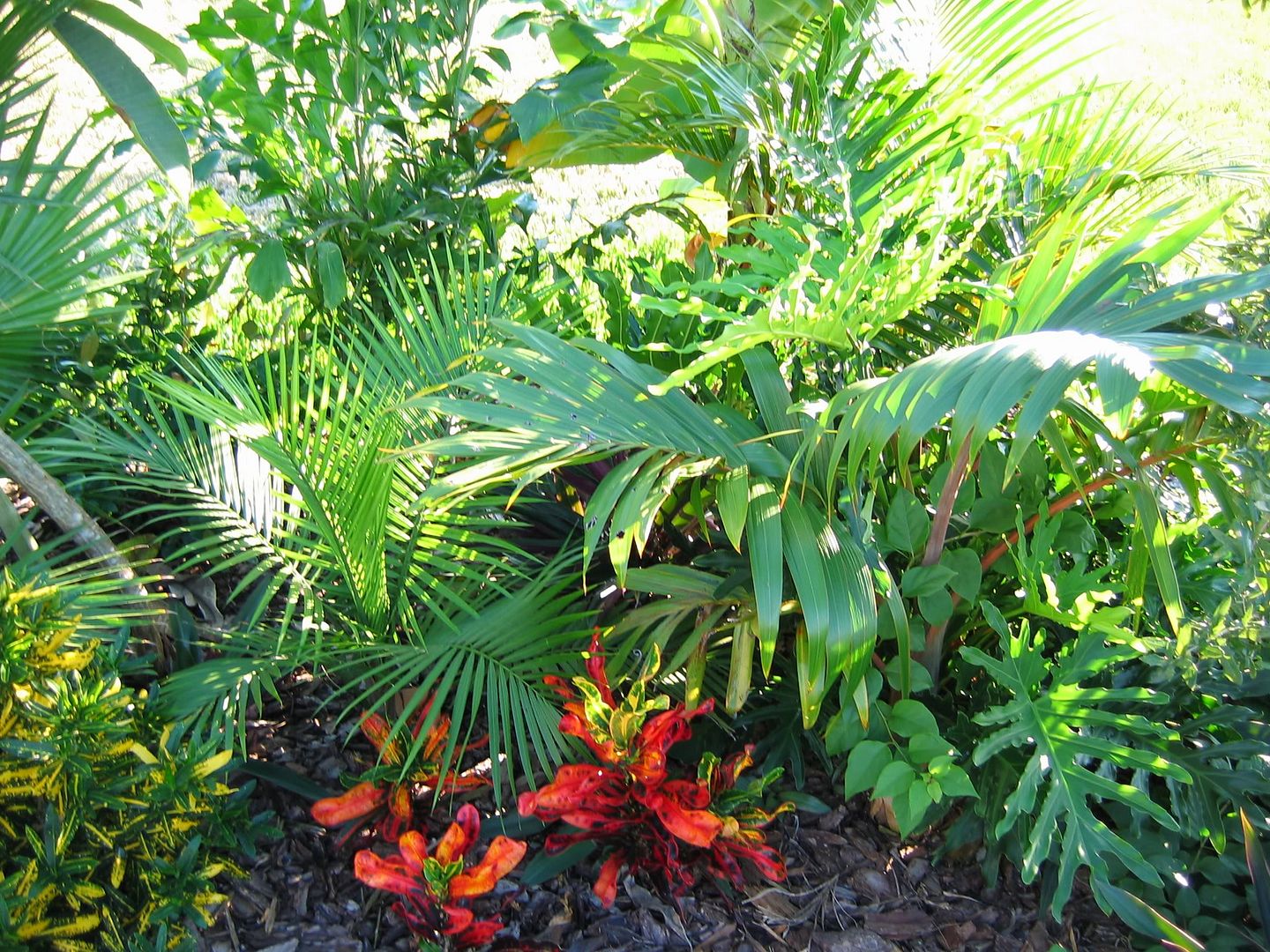 2272_1704_photobucket1.jpg