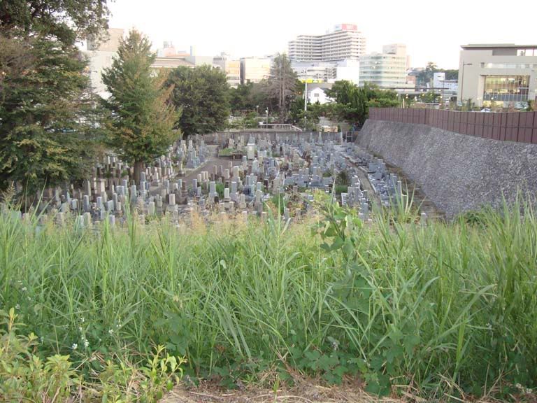 Graveyard