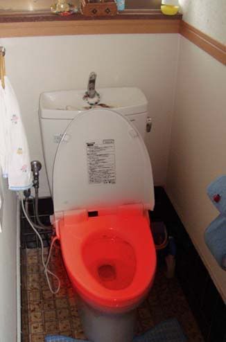 Toilet Truth