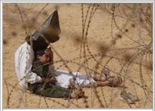 Những bức ảnh làm kinh hoàng thế giới !