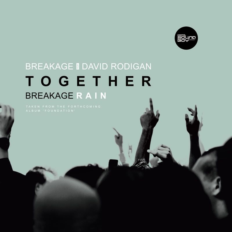 dsbreakage-front.jpg
