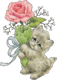 katmetroos.gif picture by willeke64