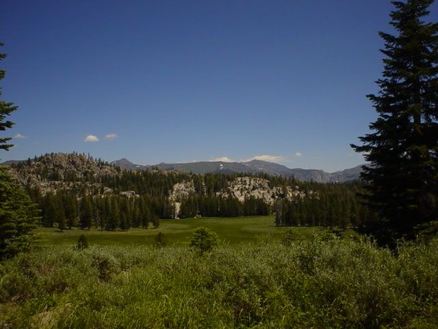 DSC00901.jpg