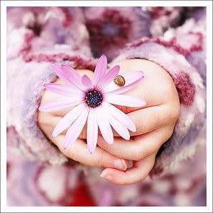 Love Flower Pictures, Images and Photos