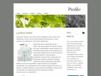 SEO Adsense Ready WordPress Version of Profilo Theme