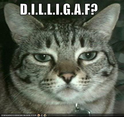 dilligaf128593482594508386.jpg