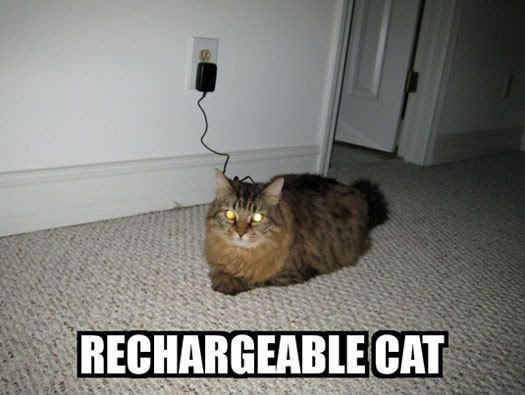 rechargeablecat.jpg