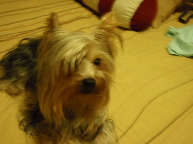 picture