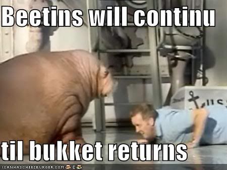 funny-pictures-bucket-walrus-beats-.jpg