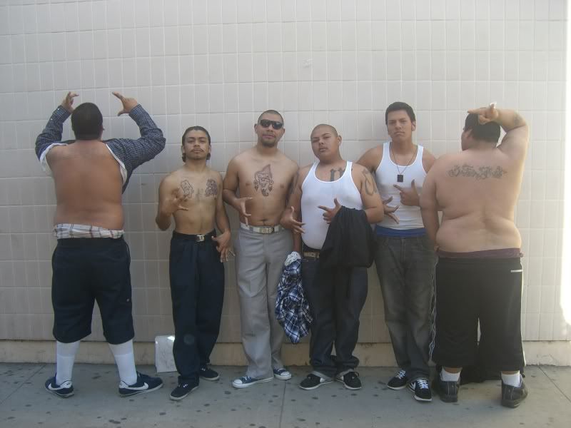 Cholos Photo by pimp4life1 Photobucket