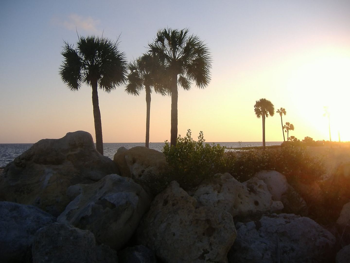 Southern Backgrounds