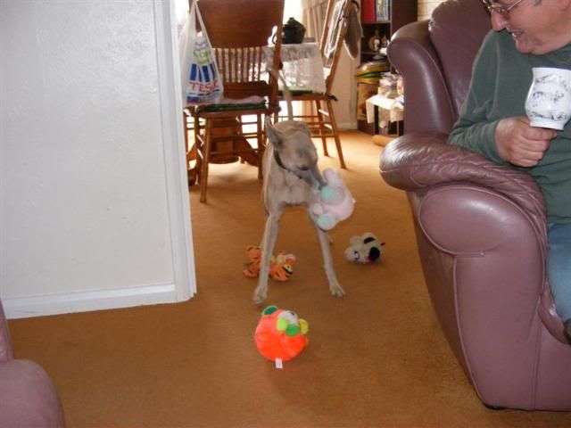 DSCF2051.jpg