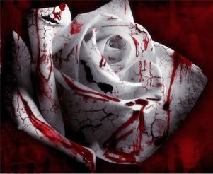 Blood Rose