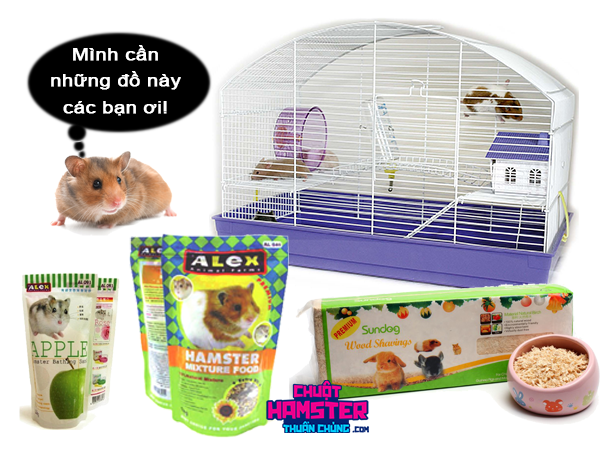 Cửa hàng cung cấp Hamster thuần chủng và các loại lồng nuôi, thức ăn, và phụ kiện đồ chơi đa dạng phong phú cho Hamster với giá hợp lý và chất lượng cao.