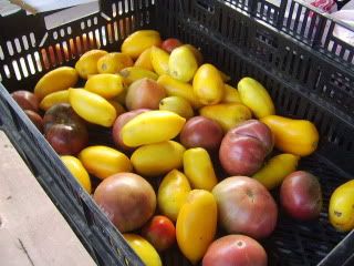 Please, someone send an new pic of the day thread! - Homesteading Questions