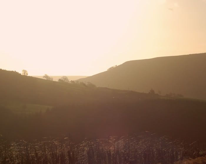 DSC_0005-2.jpg