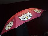P1260005.jpg MitD umbrella image by same_difference