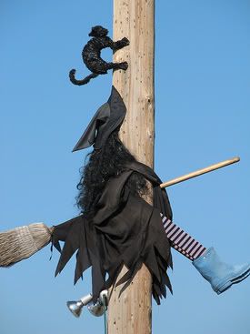 Witch n pole