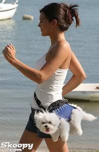Woman and dog Pictures, Images and Photos