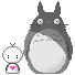 totoro Pictures, Images and Photos