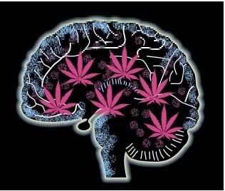 cannabis_mental_health.jpg