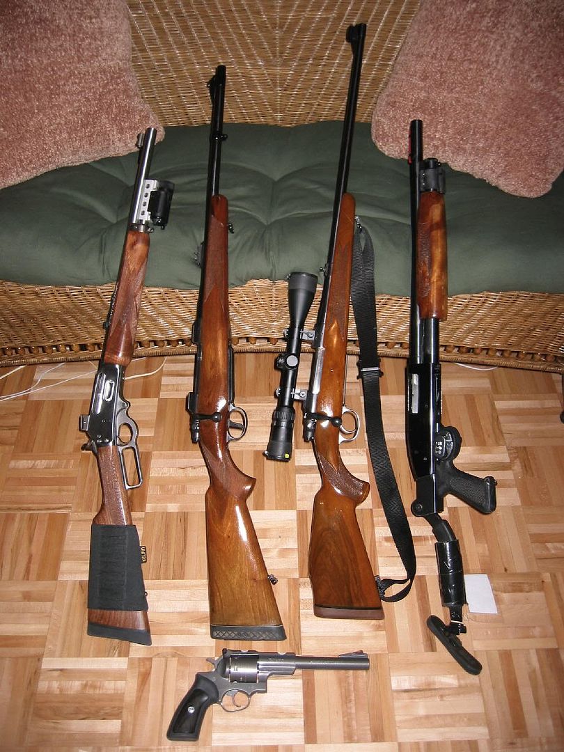 Top Folding Stock? Do I Dare? Canadian Gun Nutz