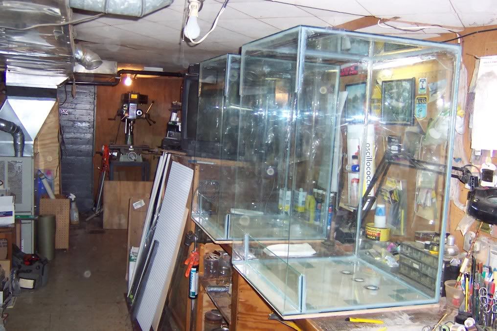 My big Vivarium construction journal Dendroboard