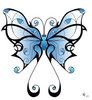 blue butterfly Pictures, Images and Photos