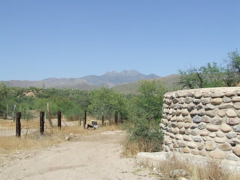 2008_0618ArizonaSpring20080148.jpg