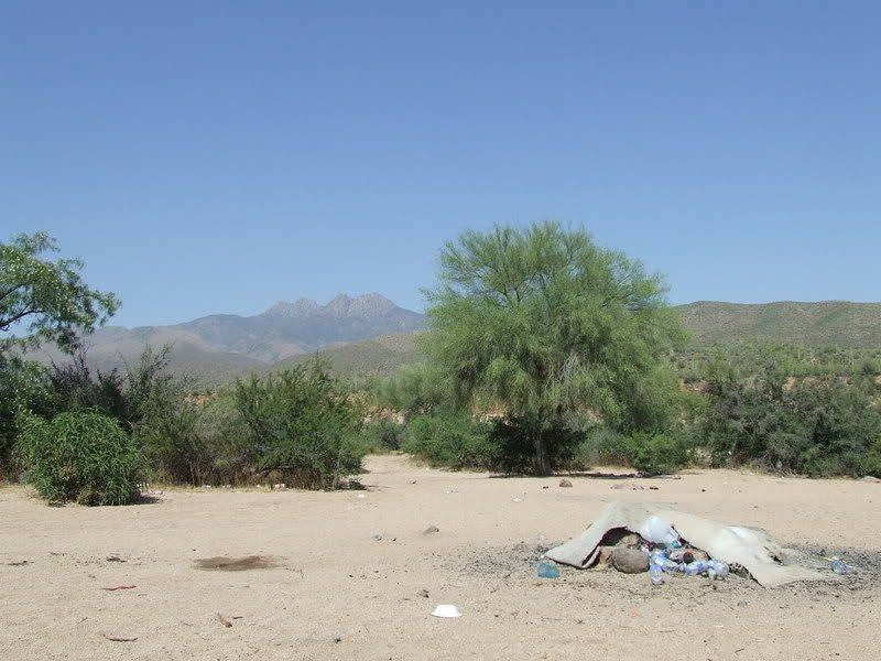 2008_0618ArizonaSpring20080151.jpg