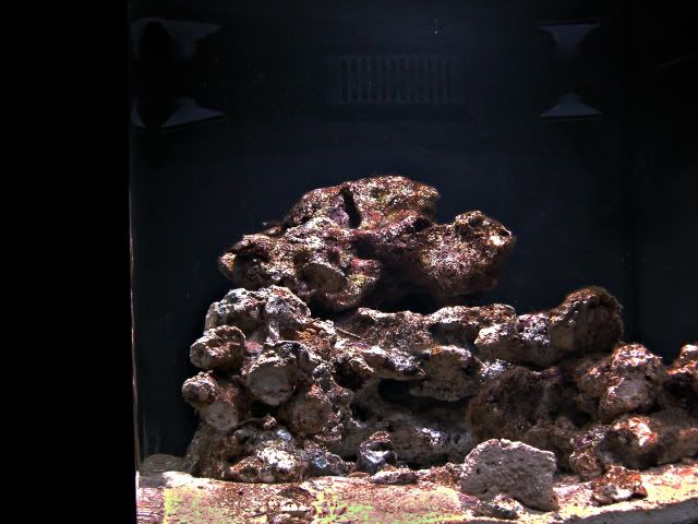 fts2-2-12-08.jpg