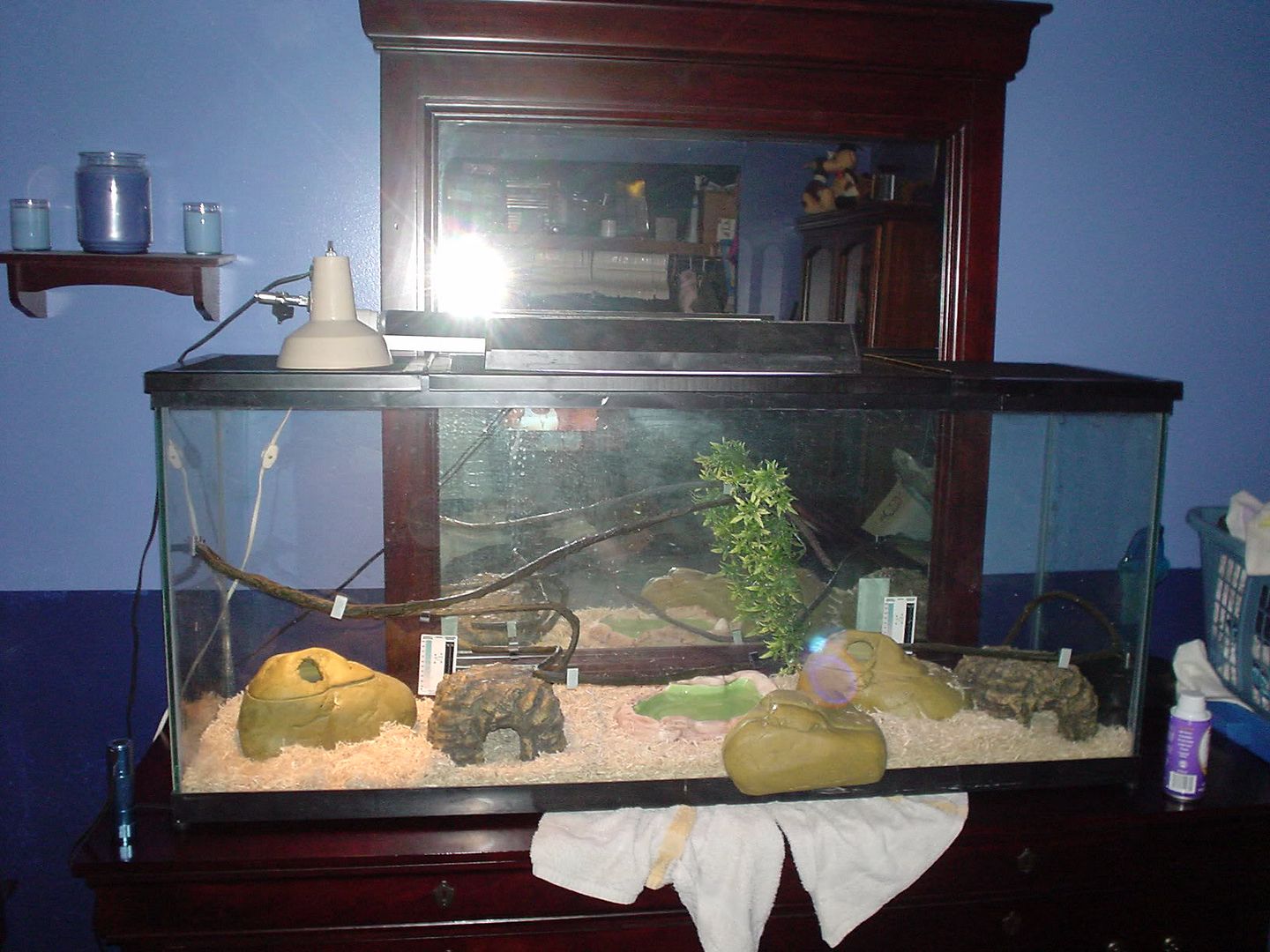NewHome001.jpg