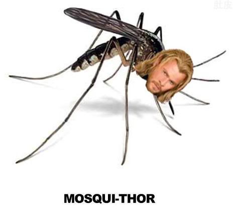 16ThorMemeMosquiThor 16ThorMemeMosquiThor