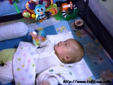 Learning Curve Toy,Lamaze Toy,Jacque the Peacock
