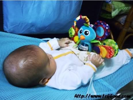 Learning Curve Toy,Lamaze Toy,Jacque the Peacock